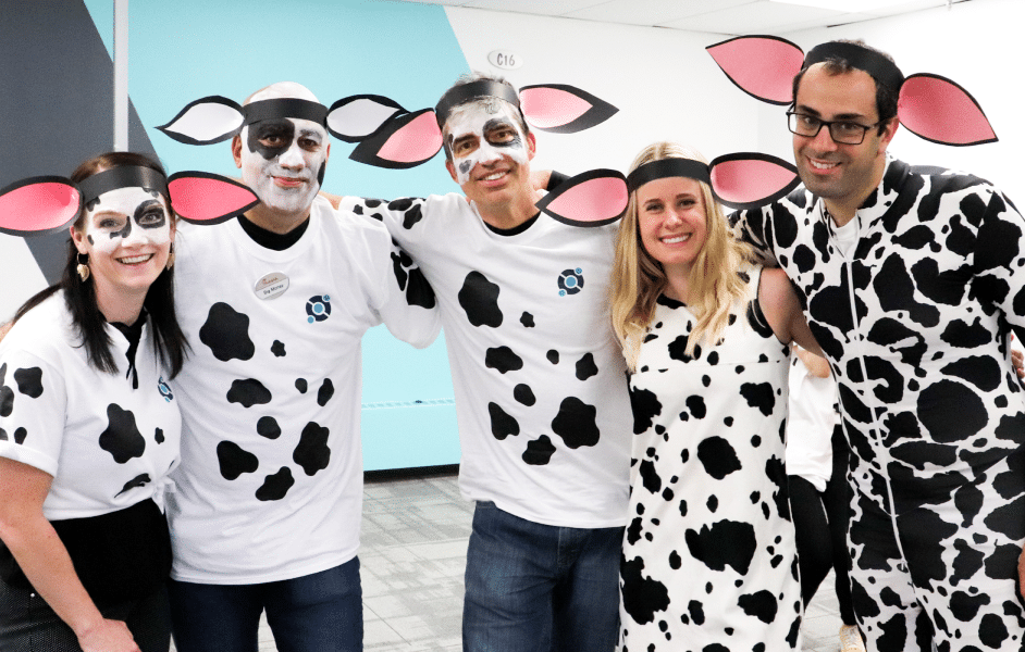 Cow Day 5