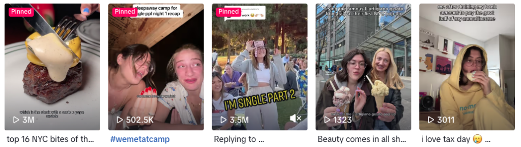 A collage of five social media images including a steak, two selfies with friends, a pet, and a person in a hoodie, with various text overlays and emojis.
