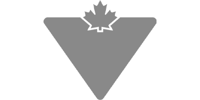 The Canadian Tire logo, a Solink customer.
