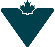 The Canadian Tire logo, a Solink customer.