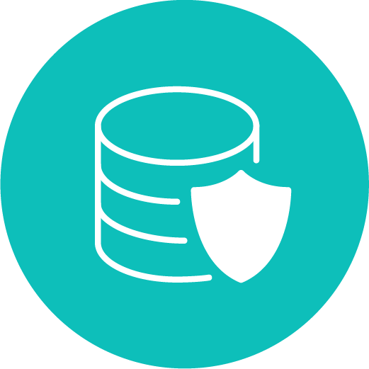 Icon of a database cylinder with a shield on a teal circle, symbolizing data protection.