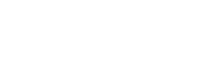 White "petvalu" logo with an external link icon on a light gray background.