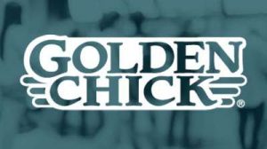 Golden Chick logo with a blue overlay in the background