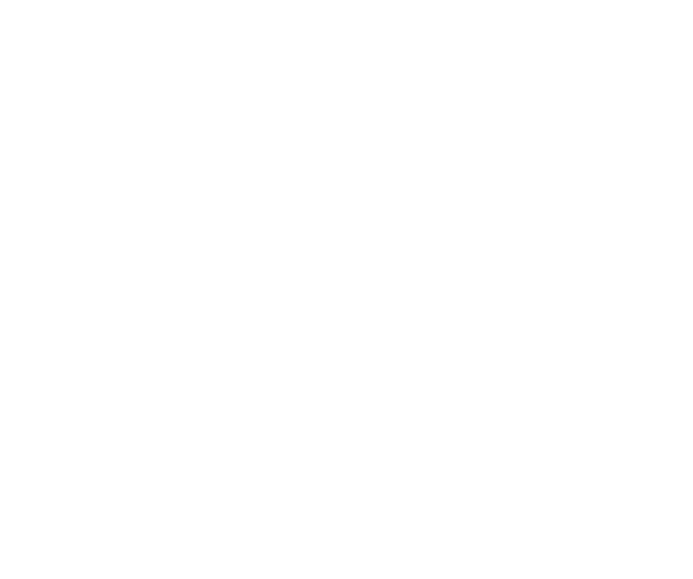 Centric brands logo